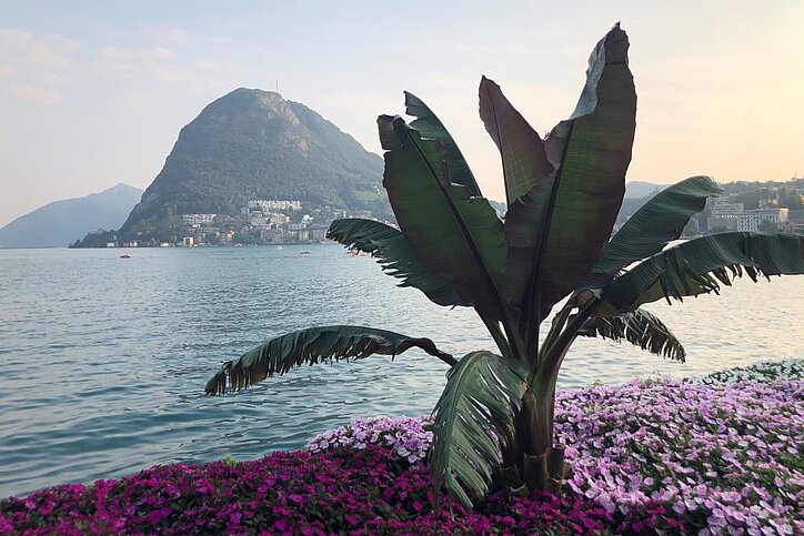 Senior Living in Leisure-Destinationen: Nach der Costa del Sol und Linz am Rhein setzt The Flag jetzt auch in der Schweiz mit seinem Neuerwerb bei Lugano auf Wassernähe für seine Senior-Living-Projekte.