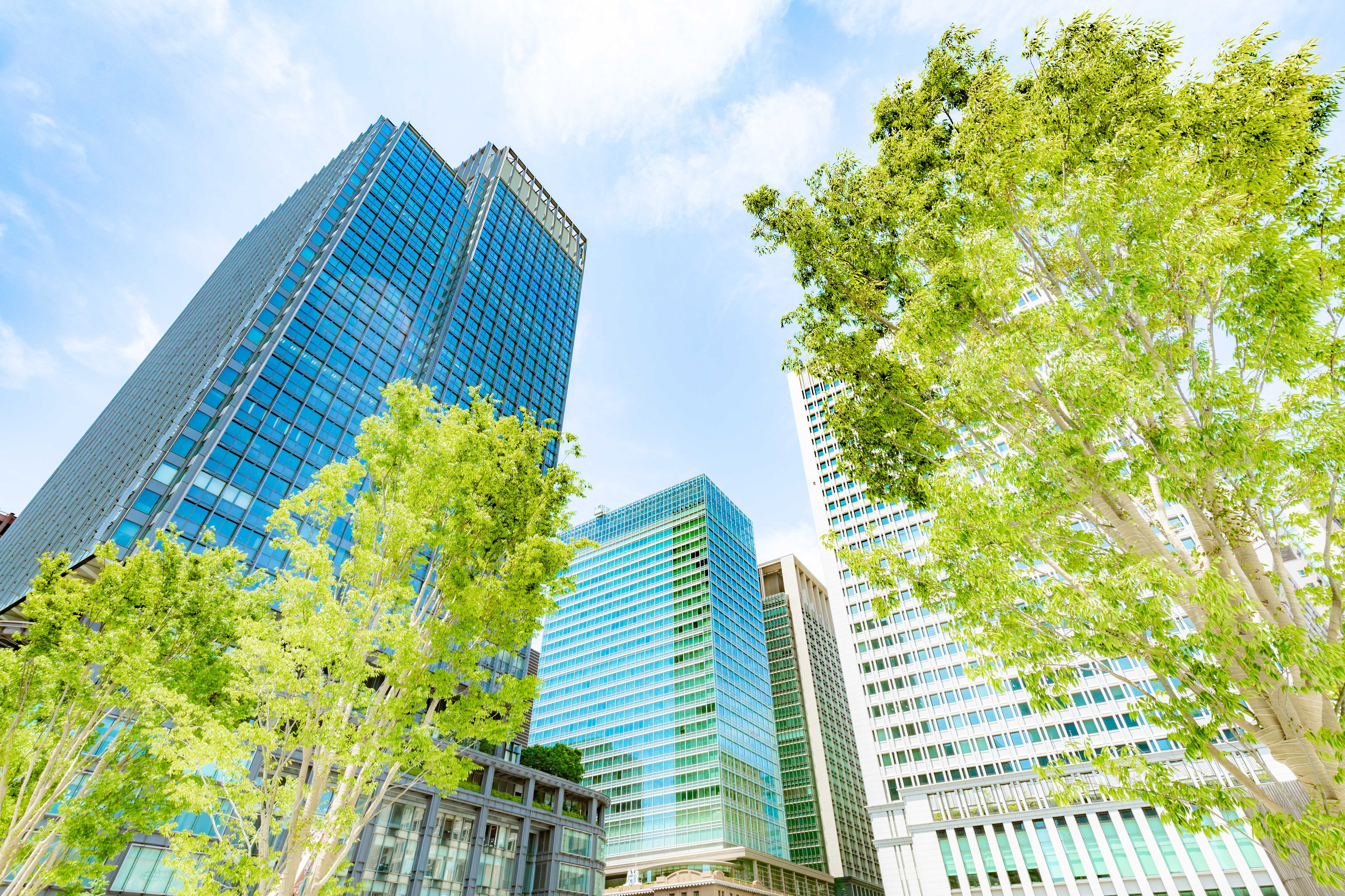 Gerade bei vermieteten Bestandsimmobilien ist die enge Abstimmung von Klimaschutz- und Dekarbonisierungsmaßnahmen wichtiger denn je. © AdobeStock.com JP trip landscape DL